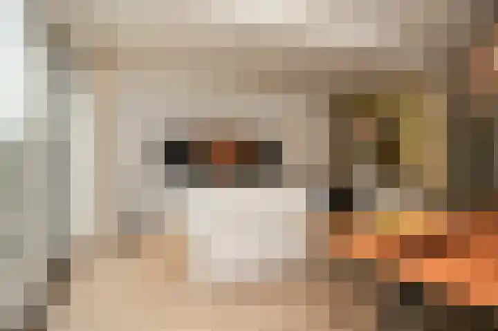 Wilde rijstvliet 84 Utrecht thumbnail 17