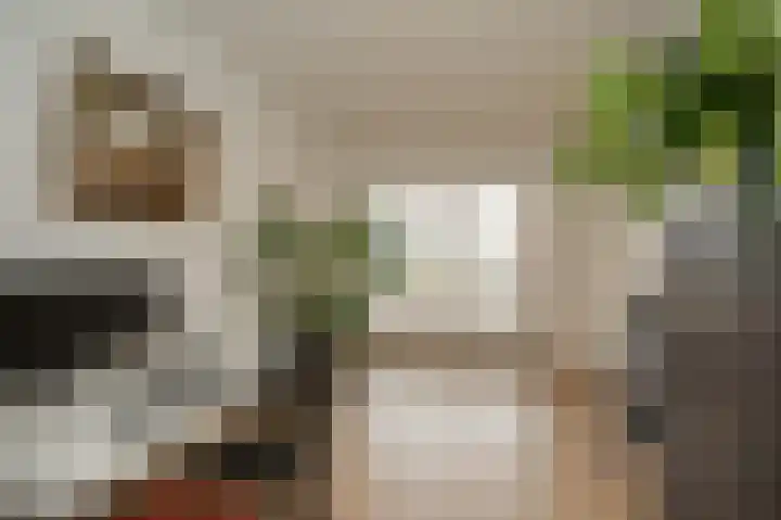 Wilde rijstvliet 84 Utrecht thumbnail 19