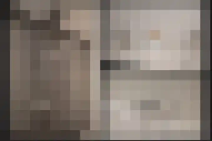 Wilde rijstvliet 84 Utrecht thumbnail 27