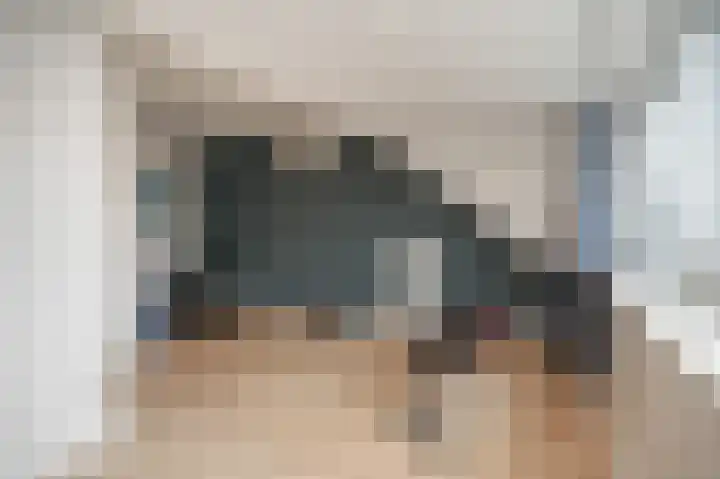 Wilde rijstvliet 84 Utrecht thumbnail 32