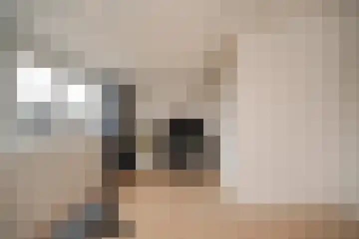 Wilde rijstvliet 84 Utrecht thumbnail 33