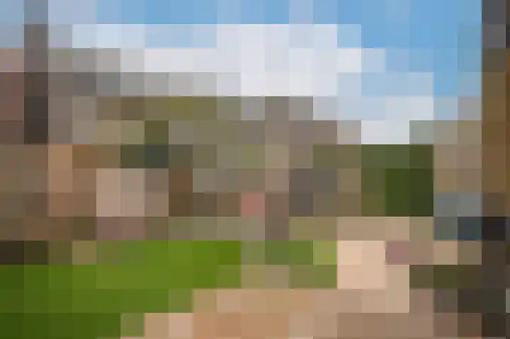 Wilde rijstvliet 84 Utrecht thumbnail 37