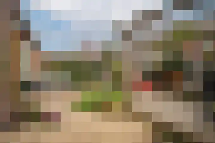 Wilde rijstvliet 84 Utrecht thumbnail 38