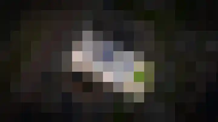 Wilde rijstvliet 84 Utrecht thumbnail 40