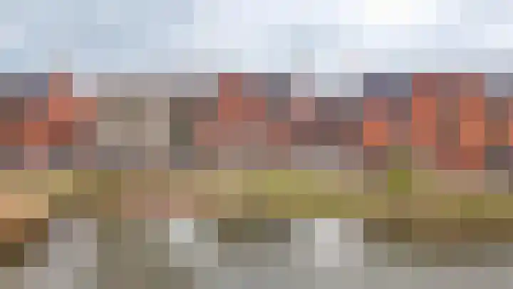 Wilde rijstvliet 84 Utrecht thumbnail 41