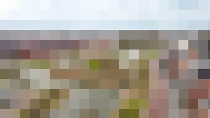 Wilde rijstvliet 84 Utrecht thumbnail 42