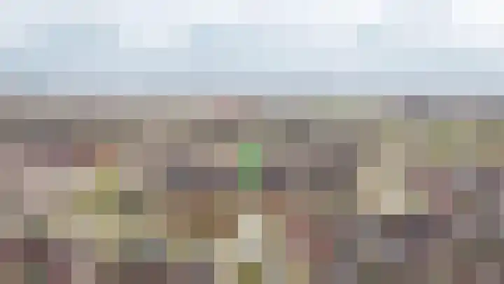 Wilde rijstvliet 84 Utrecht thumbnail 43