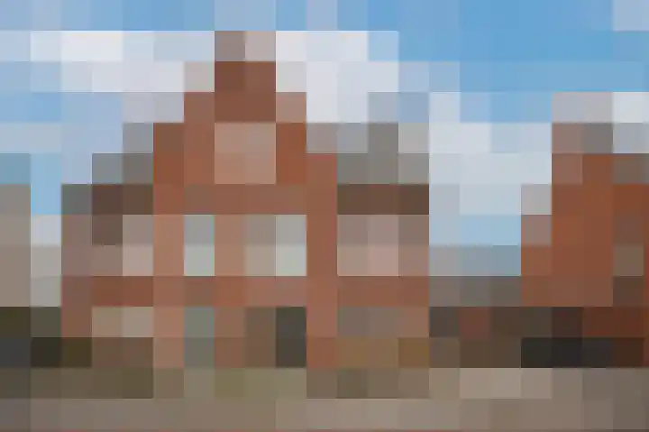 Wilde rijstvliet 84 Utrecht thumbnail 6