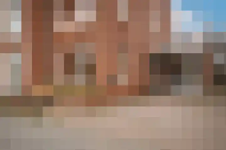 Wilde rijstvliet 84 Utrecht thumbnail 7