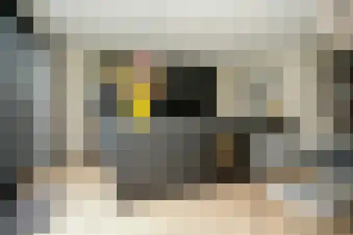 Wilde rijstvliet 90 Utrecht thumbnail 11