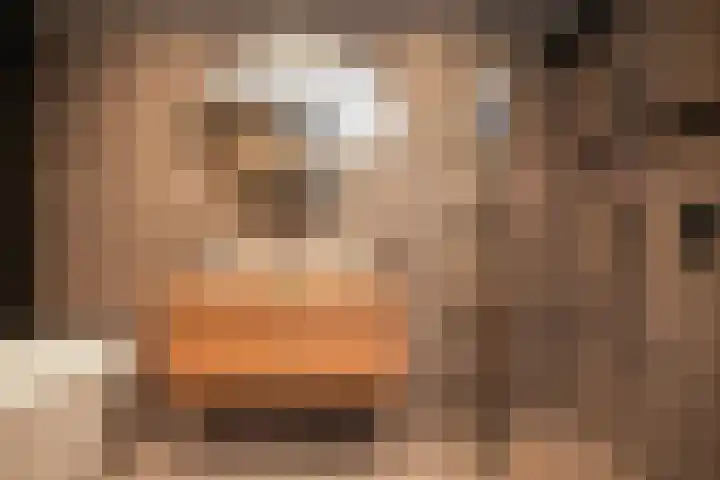 Wilde rijstvliet 90 Utrecht thumbnail 18
