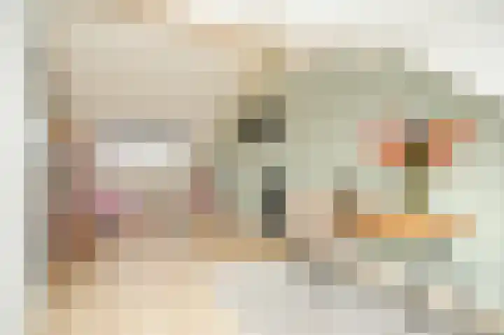 Wilde rijstvliet 90 Utrecht thumbnail 30