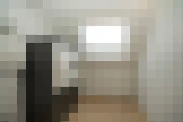 Wilde rijstvliet 90 Utrecht thumbnail 31