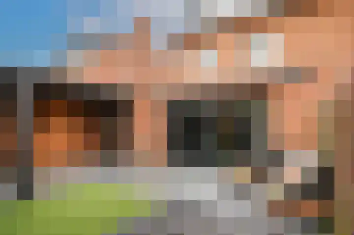 Wilde rijstvliet 90 Utrecht thumbnail 33