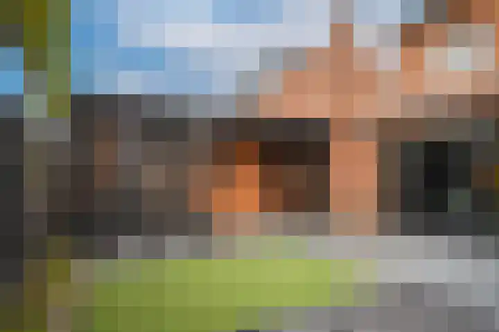 Wilde rijstvliet 90 Utrecht thumbnail 34