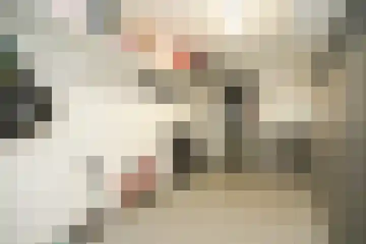 Wilde rijstvliet 90 Utrecht thumbnail 39