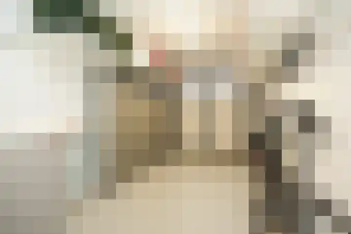 Wilde rijstvliet 90 Utrecht thumbnail 40