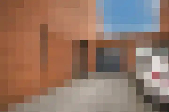 Wilde rijstvliet 90 Utrecht thumbnail 41