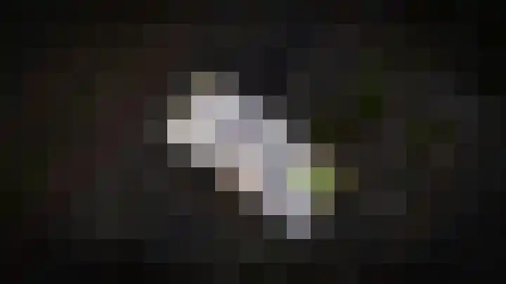 Wilde rijstvliet 90 Utrecht thumbnail 47