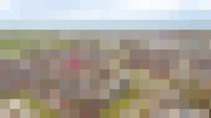 Wilde rijstvliet 90 Utrecht thumbnail 50
