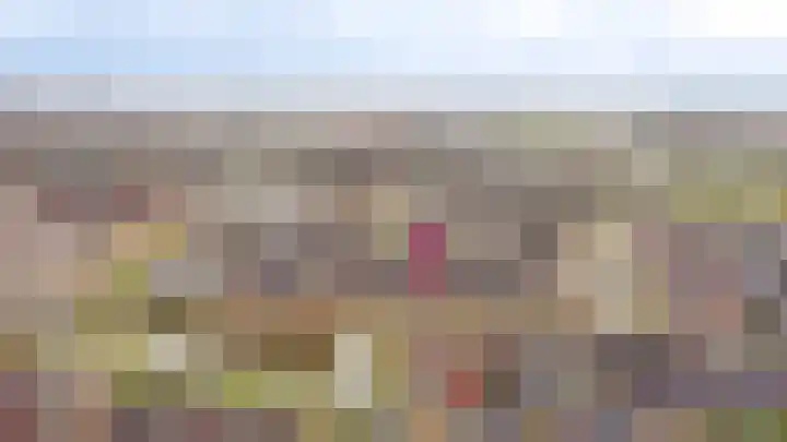 Wilde rijstvliet 90 Utrecht thumbnail 51