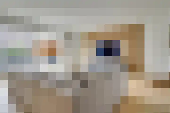 Wilde rijstvliet 96 Utrecht thumbnail 11