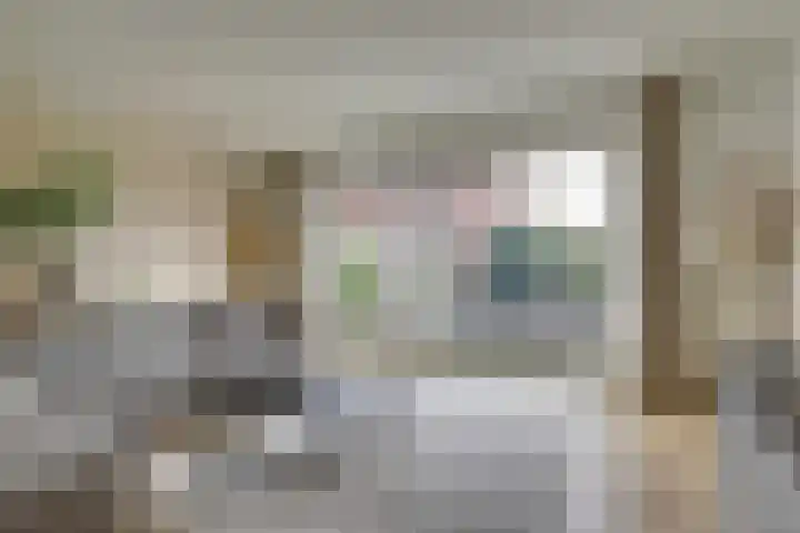 Wilde rijstvliet 96 Utrecht thumbnail 12