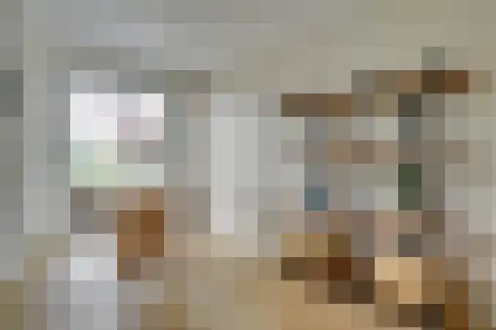 Wilde rijstvliet 96 Utrecht thumbnail 13