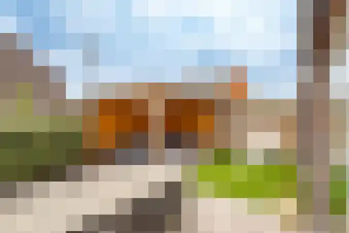 Wilde rijstvliet 96 Utrecht thumbnail 15