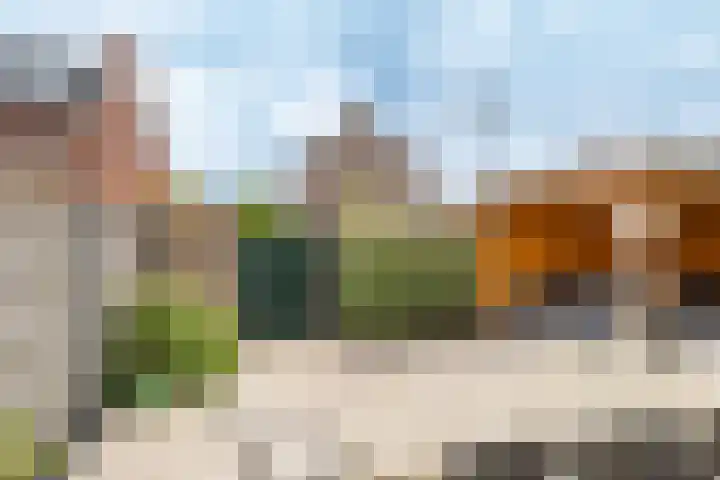 Wilde rijstvliet 96 Utrecht thumbnail 16