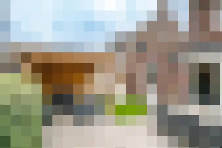 Wilde rijstvliet 96 Utrecht thumbnail 17