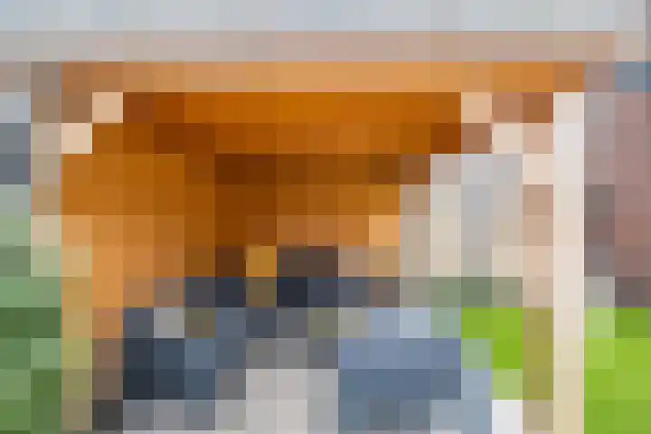 Wilde rijstvliet 96 Utrecht thumbnail 18