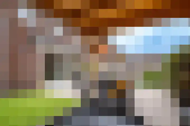 Wilde rijstvliet 96 Utrecht thumbnail 20