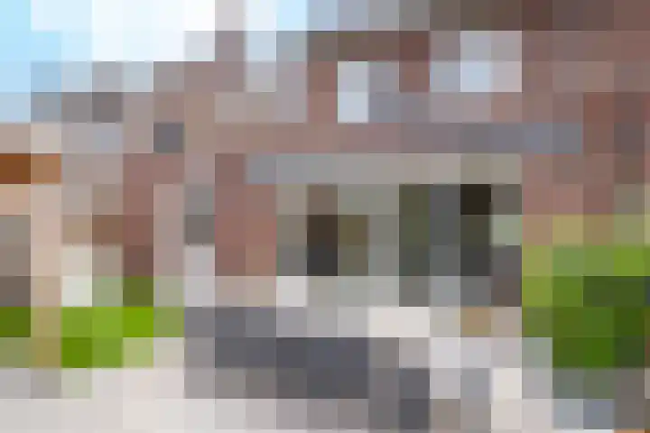 Wilde rijstvliet 96 Utrecht thumbnail 21