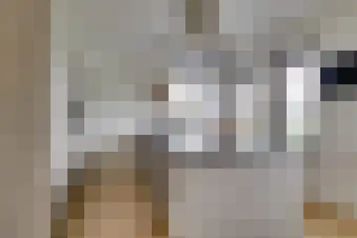 Wilde rijstvliet 96 Utrecht thumbnail 22