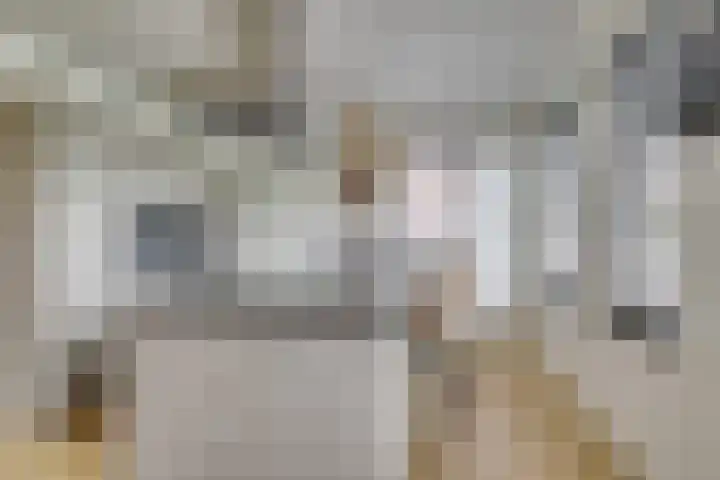 Wilde rijstvliet 96 Utrecht thumbnail 23