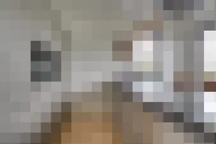 Wilde rijstvliet 96 Utrecht thumbnail 24