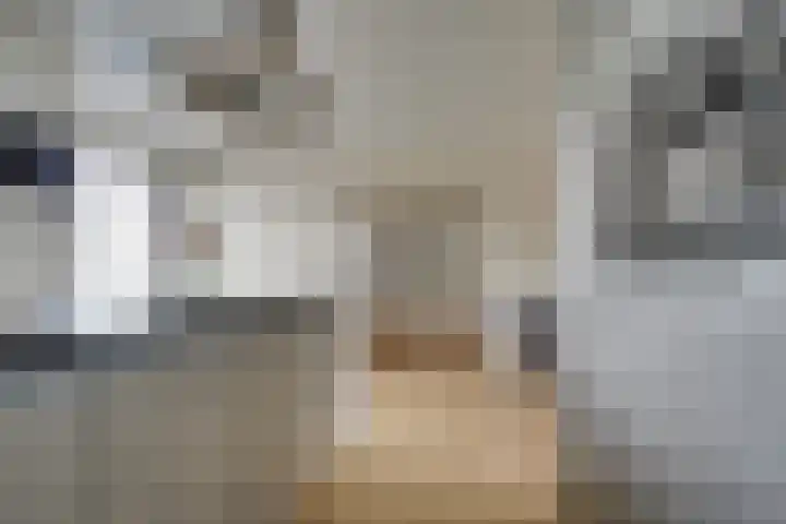 Wilde rijstvliet 96 Utrecht thumbnail 25