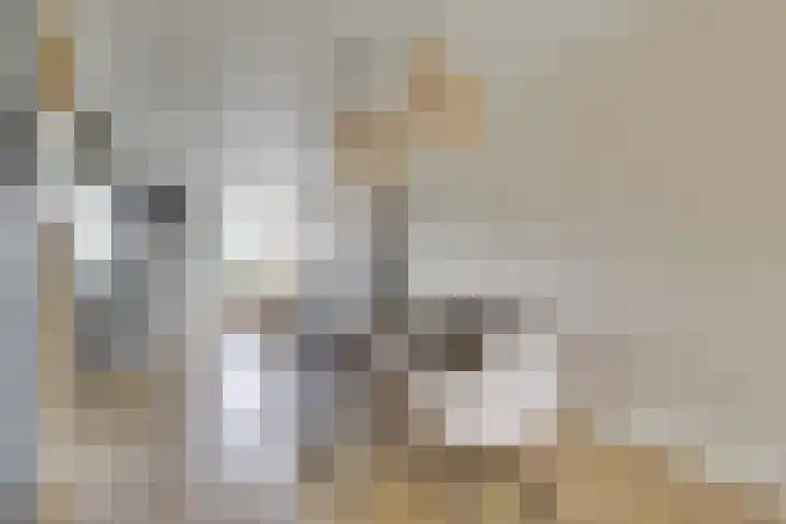 Wilde rijstvliet 96 Utrecht thumbnail 26