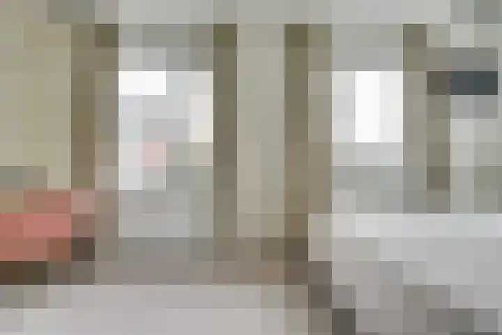 Wilde rijstvliet 96 Utrecht thumbnail 28