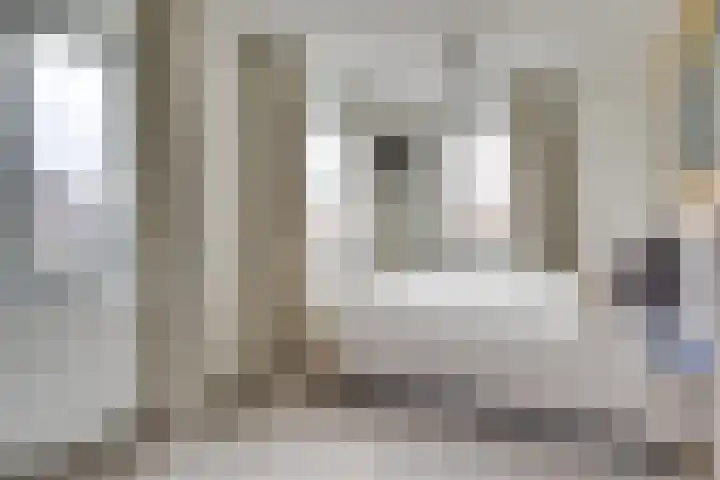 Wilde rijstvliet 96 Utrecht thumbnail 29