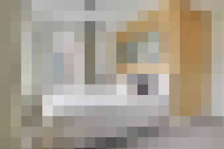 Wilde rijstvliet 96 Utrecht thumbnail 30