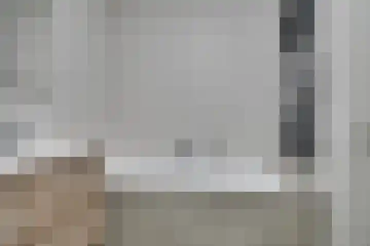 Wilde rijstvliet 96 Utrecht thumbnail 33