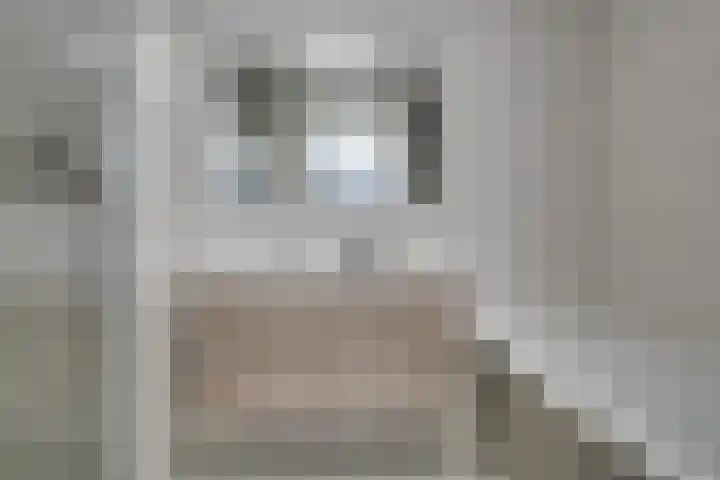 Wilde rijstvliet 96 Utrecht thumbnail 35