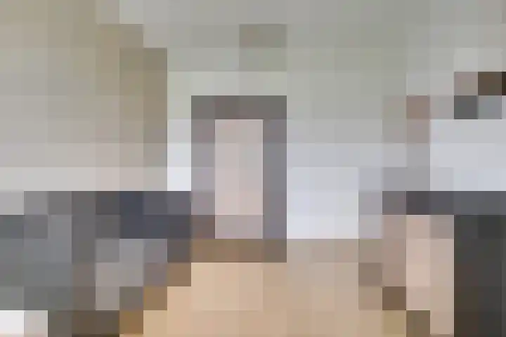 Wilde rijstvliet 96 Utrecht thumbnail 38