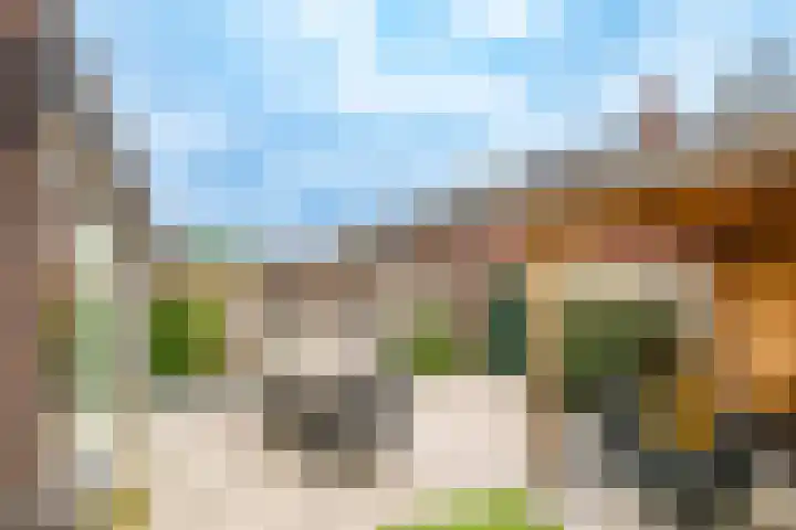 Wilde rijstvliet 96 Utrecht thumbnail 4