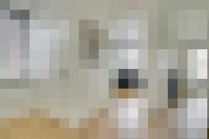 Wilde rijstvliet 96 Utrecht thumbnail 43