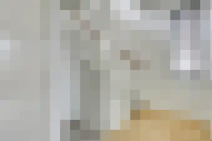 Wilde rijstvliet 96 Utrecht thumbnail 45