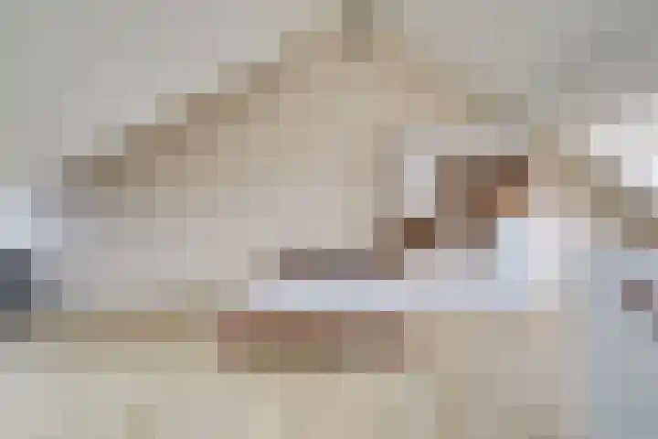Wilde rijstvliet 96 Utrecht thumbnail 46