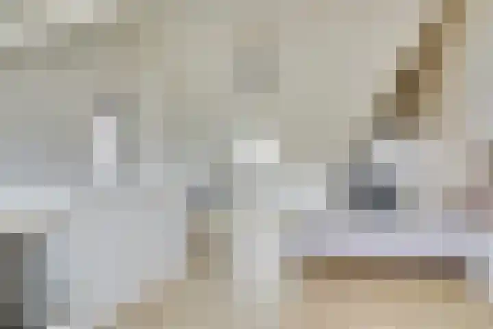 Wilde rijstvliet 96 Utrecht thumbnail 49